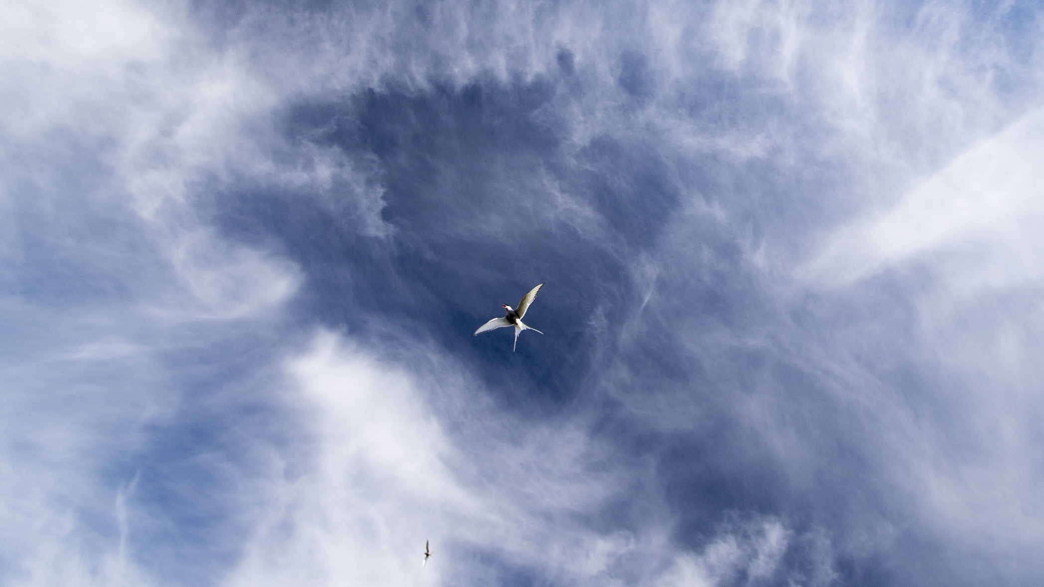 Ciel Islande