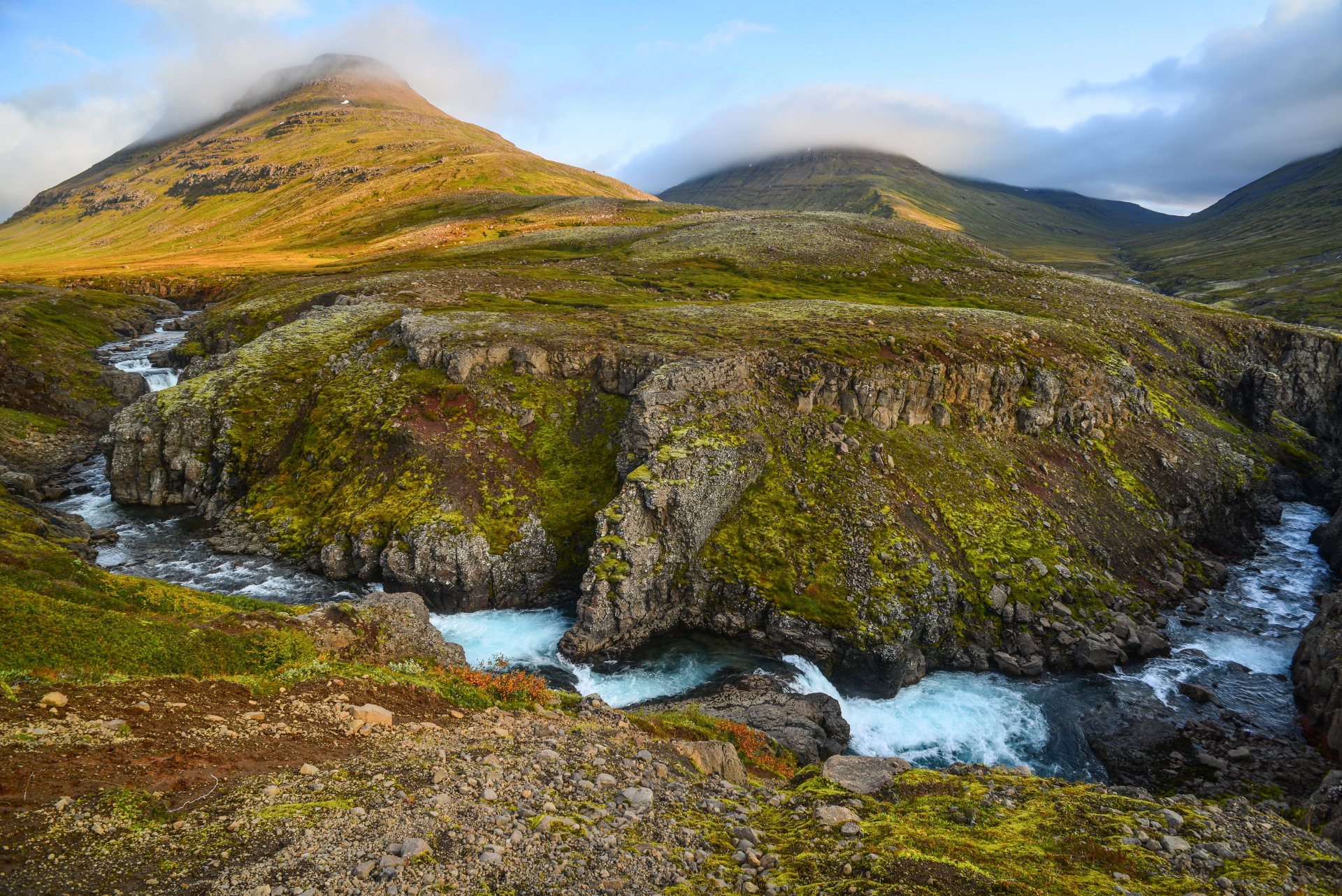 mjoifjordur-islande