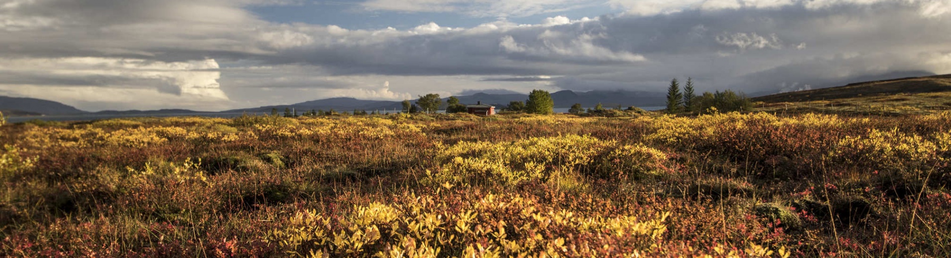 Automne en Islande