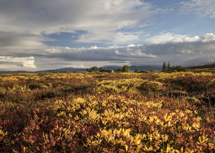 Automne en Islande