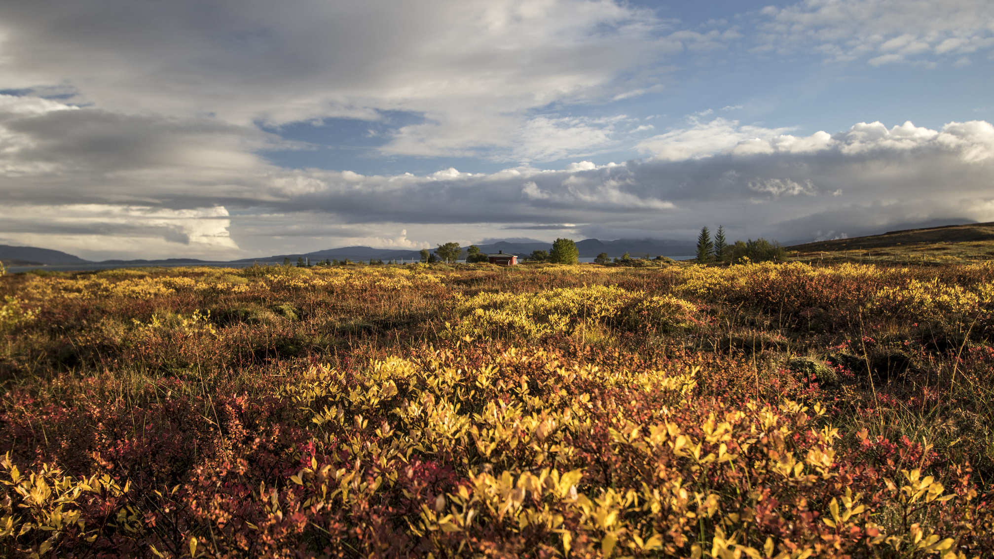 Automne en Islande