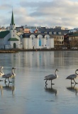 Reykjavik