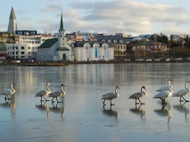 Reykjavik