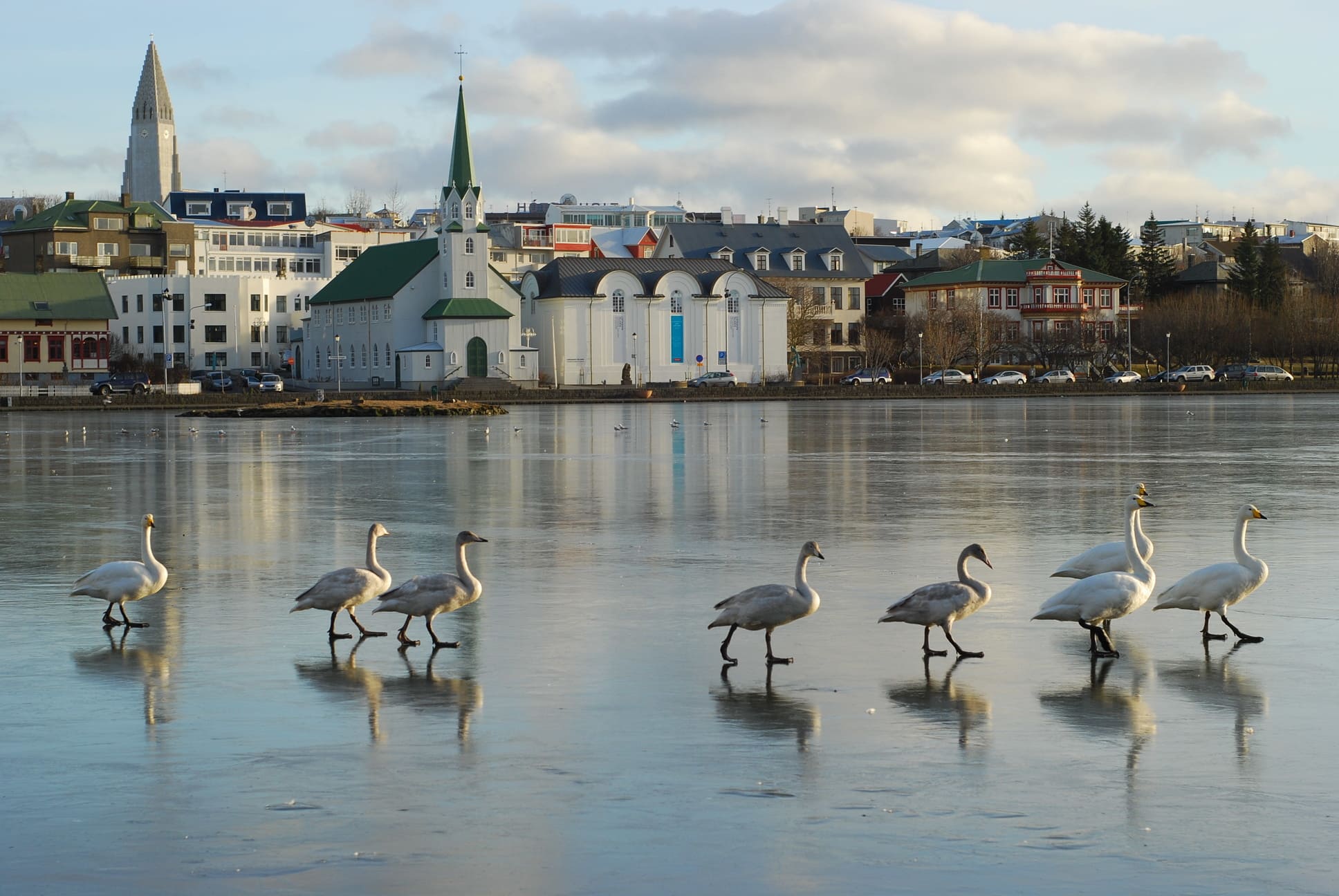 Reykjavik