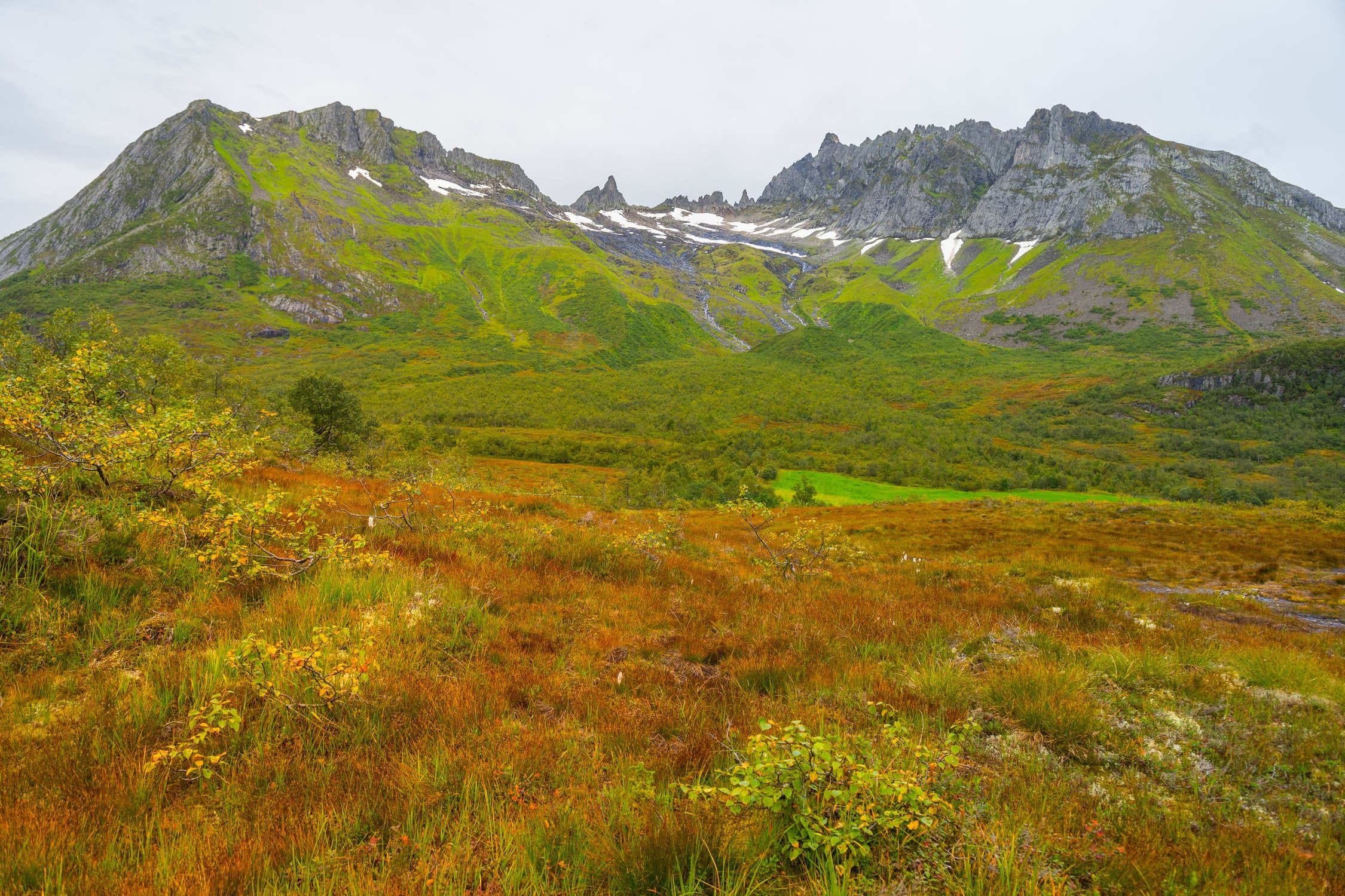 nature islandaise