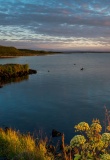 Lac Myvatn