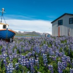 Le grand Ouest de l&rsquo;Islande