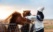 chevaux sauvages islande