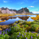 paysages islande