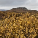 Islande en automne