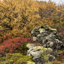 couleurs-automne-islande