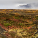 islande-automne