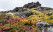 islande-en-automne