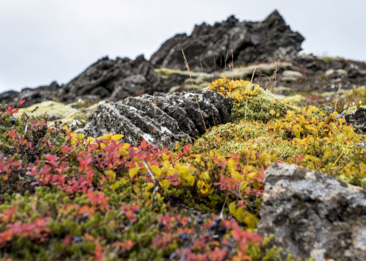 islande-en-automne