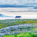 Maison - Islande