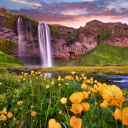 Seljalandsfoss - Islande