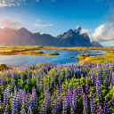 Stokksnes - Islande