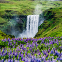 Chutes skogafoss - Islande