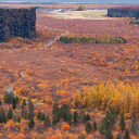 le canyon de Ásbyrgi en Islande