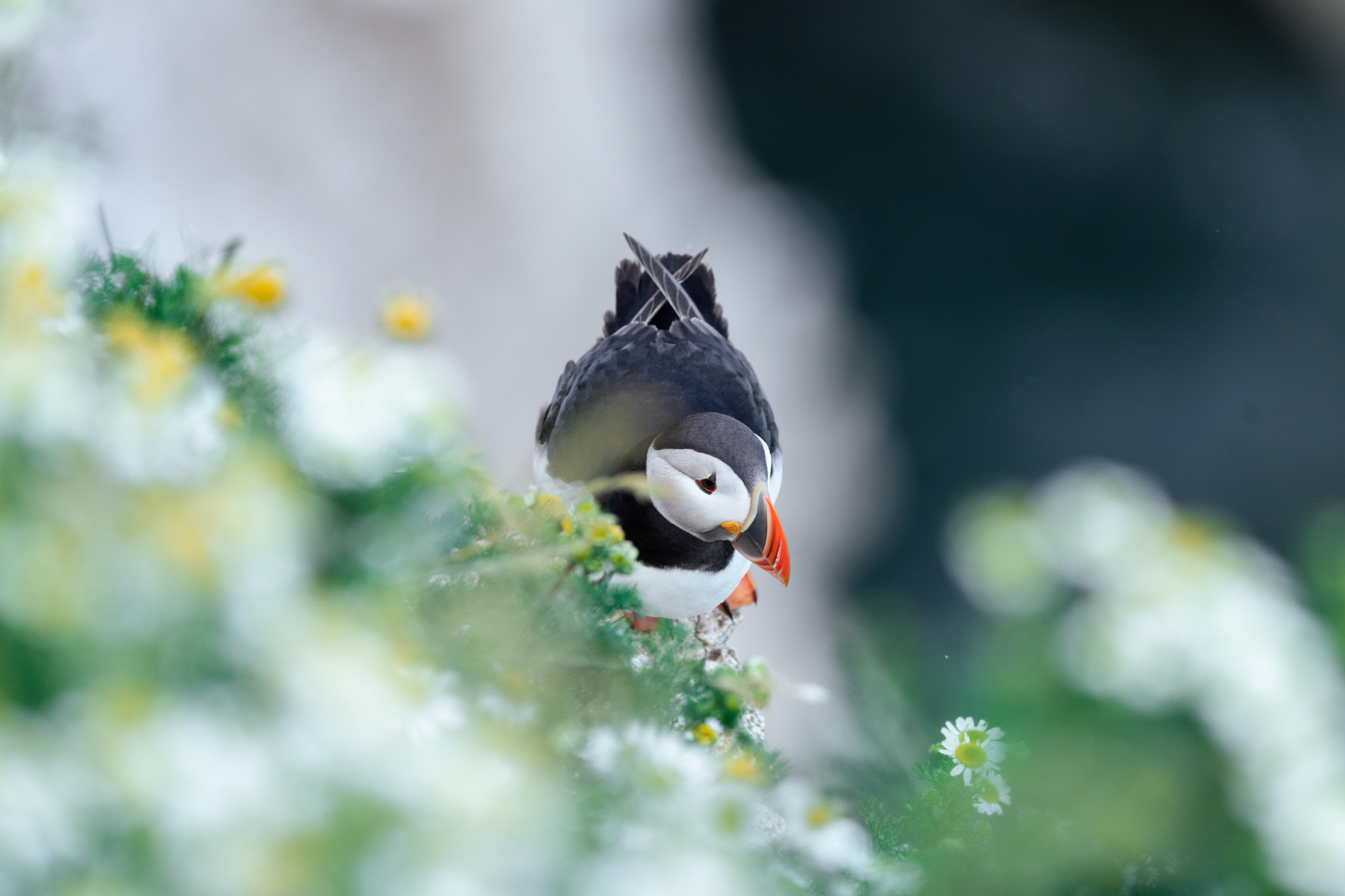 Islande de A à Z